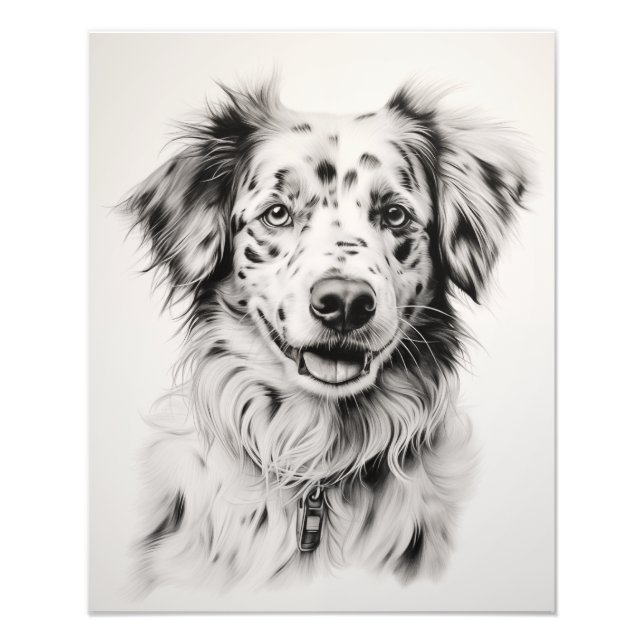 Foto Cão Espírito Livre Preto e Branco (Frente)