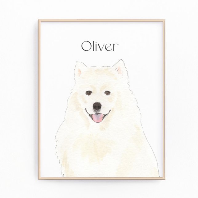 Foto Cão Samoyed Eskimo Americano Personalizado (Criador carregado)