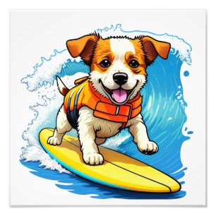 Foto Cão surfador