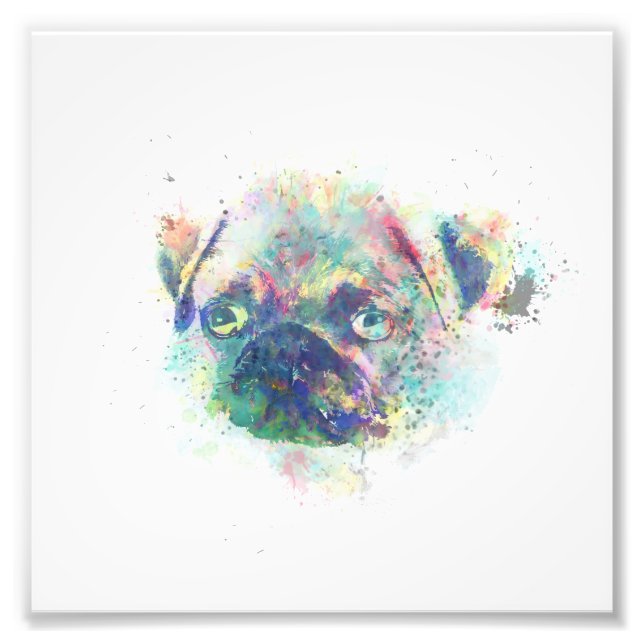 Foto Cãozinho cãozinho cãozinho pintura com aquarela (Frente)