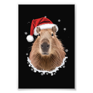 Foto Capivara Natal Engraçado 