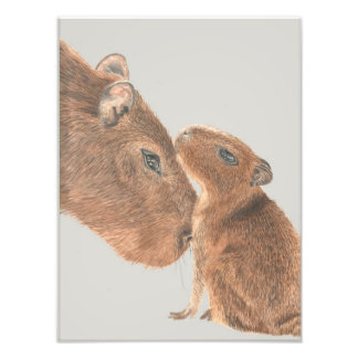 Foto Capybara