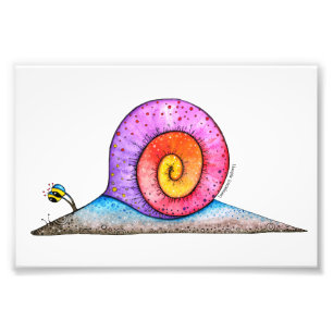 Foto Caracol do Hoopla