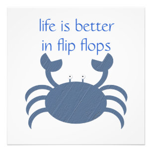 Foto Caranguejo Azul