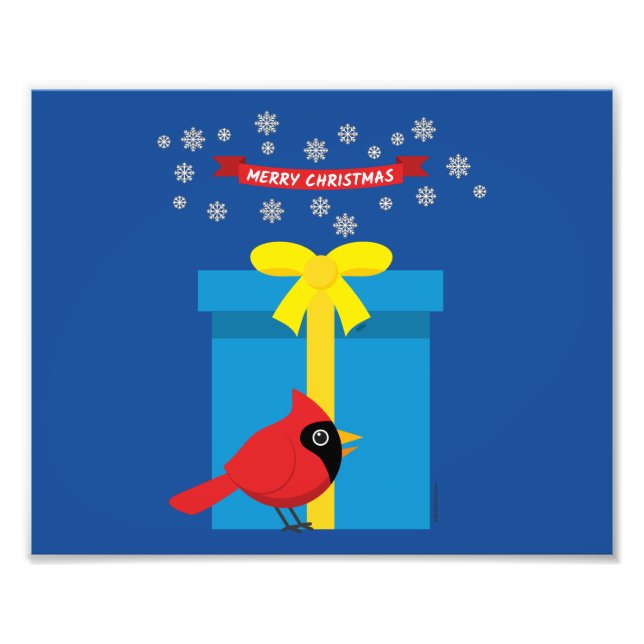 Foto Cardeal Vermelho Cinto Com Presente Azul (Frente)