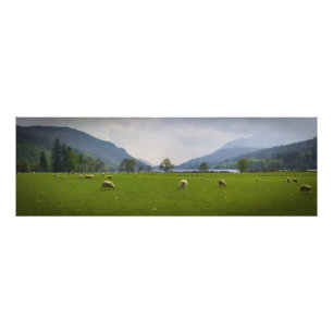 Foto Carneiros de Oich do Loch