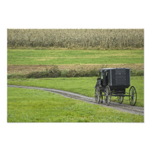 Foto Carrinho Amish em estrada rural, Nordeste de Ohio,