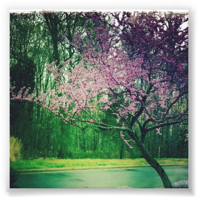 Foto cartão de saudação (Frente)