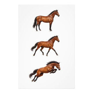 Foto Cartaz de Arte de Parede de Cavalo Marrom Elegante