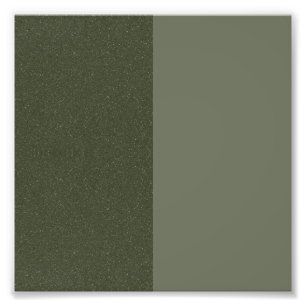 Foto Cartaz Quadrado Texturizado Verde Split Moss (Pers