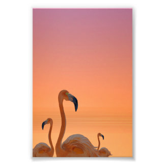 Foto Cartaz Tropical Flamingo Pôr do Sol