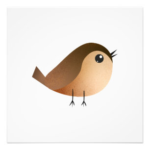 Foto Cartografia de Pássaro Sparrow