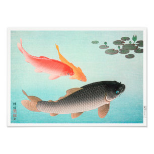Foto Cartuchos de Ouro Ohara Koson