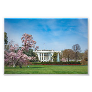 Foto Casa Branca em Primavera