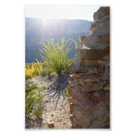 Foto Casa de adobe arruinada, Parque Nacional Big Bend,