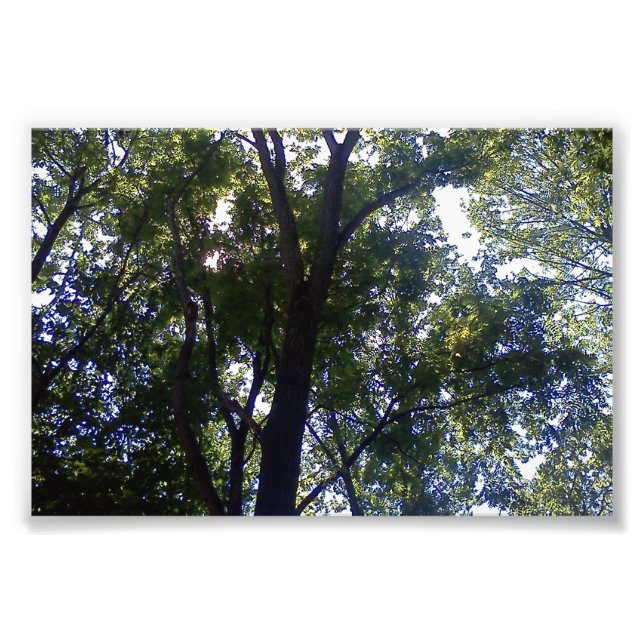 Foto Casa de Elves (Frente)