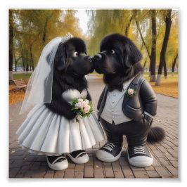 Foto Casamento de newfs
