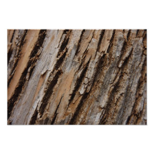 Foto Casca de Árvore I Design Texturizado Abstrato Natu