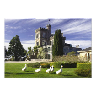 Foto Castelo de Larnach, Península de Otago, Dunedin,