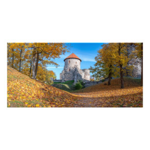 Foto Castelo medieval cercado por floresta