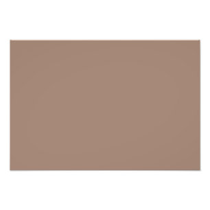 Foto Castor (cor sólida)