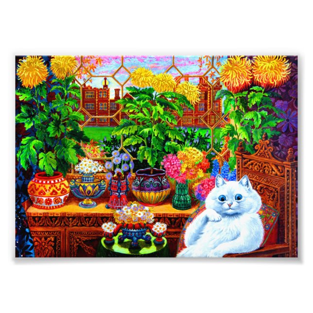 Foto Cat College Master (Frente)