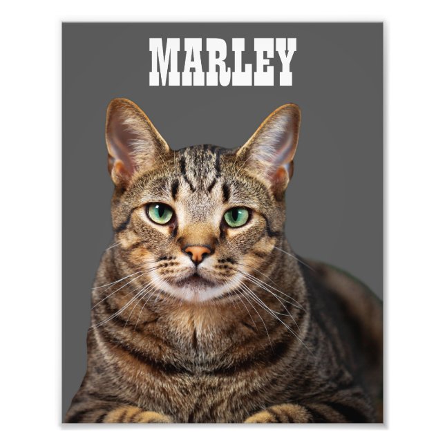 Foto Cat. Pet Personalizada e Personalizada (Frente)