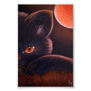 FOTO CAT PRETO DO DIA DAS BRUXAS COM LUA ALARANJADA 4"