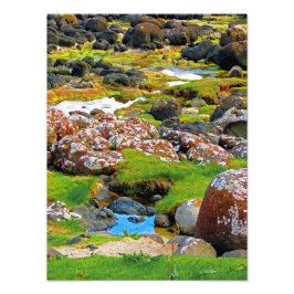 Foto Causa do Gigante- Vista 2