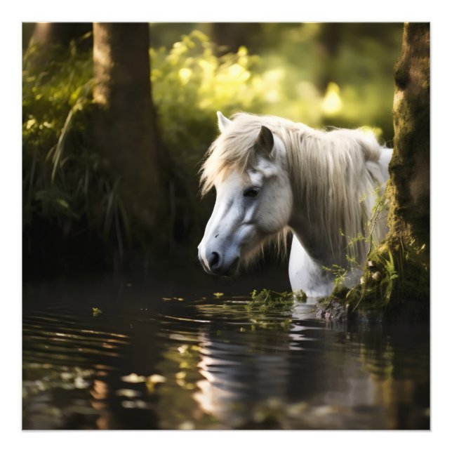 Foto Cavalo Branco em Pond (Frente)
