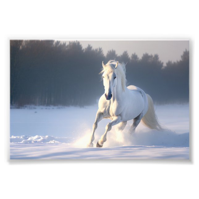 Foto Cavalo Branco na neve, cavalos, inverno (Frente)