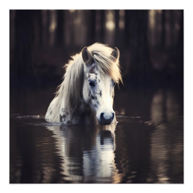 Foto Cavalo Branco no Lago (Frente)