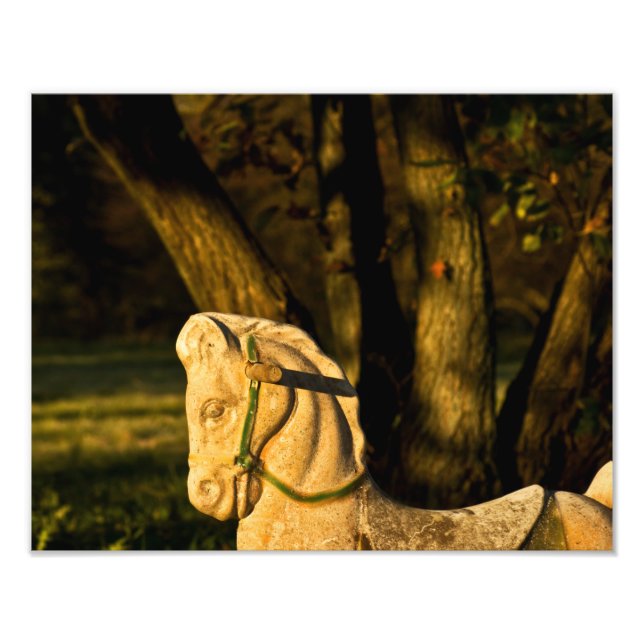 Foto Cavalo Castanho (Frente)