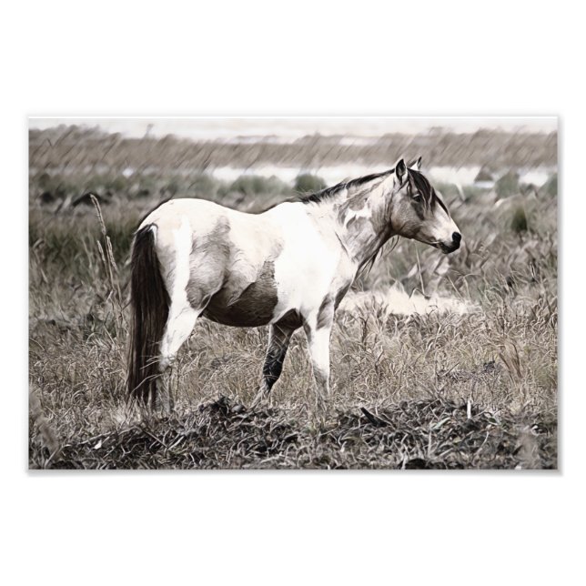 Foto Cavalo com estilo Lápis (Frente)
