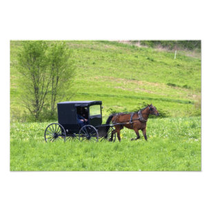 Foto Cavalo de Amish e Berlim próxima com erros, Ohio.