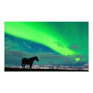 Foto Cavalo e aurora boreal, Yukon