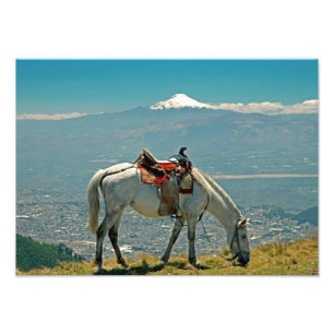 Foto Cavalo e vulcão, Quito, Equador
