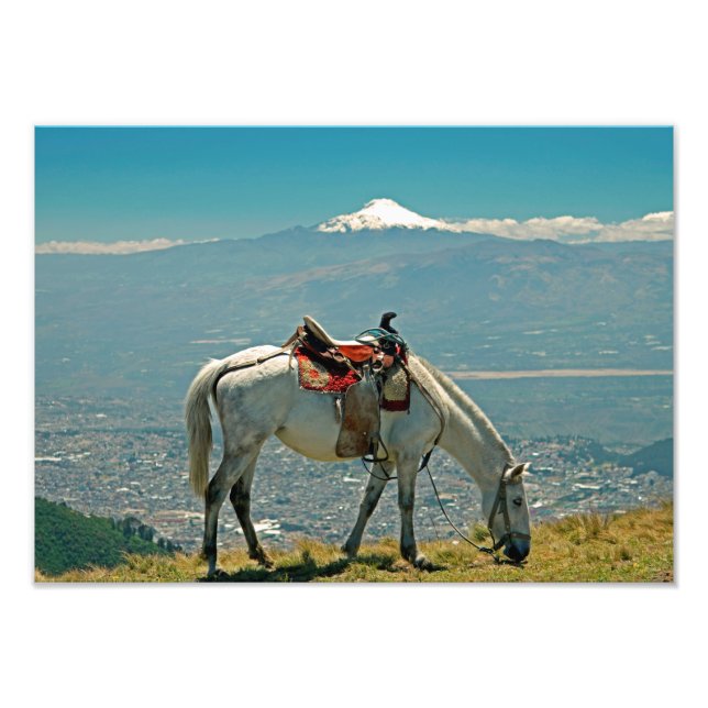 Foto Cavalo e vulcão, Quito, Equador (Frente)