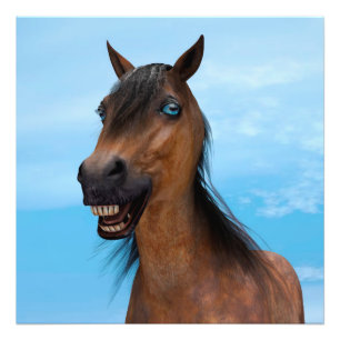Foto Cavalo Feliz