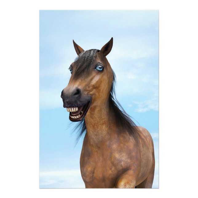 Foto Cavalo Feliz Sorridente da Baía (Frente)