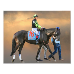 Foto Cavalo Jackson Heights - Dylan Davis jockey