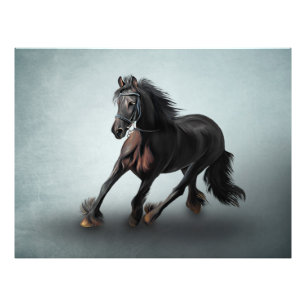 Foto Cavalo retrato de desenho