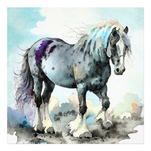 Foto Cavalo Shire Paciente Aquarela