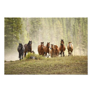 Foto Cavalos cruzando o topo de uma pequena colina dura