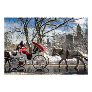 Foto Cavalos de carruagem do inverno no Central Park
