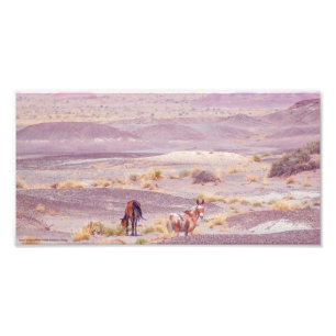 Foto Cavalos do Deserto P8639