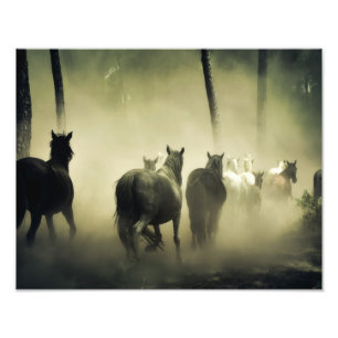 Foto Cavalos Selvagens
