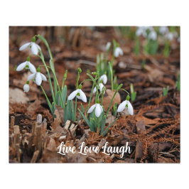 Foto Celebração Da Vida Por Crise Branca