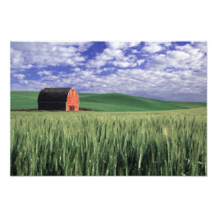 Foto Celeiro vermelho em campo de trigo e cevada em Whi