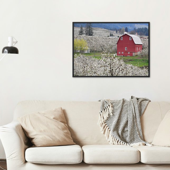 Foto Celeiro Vermelho Pitoresco e Flores de Pêra (In Situ (Framed))
